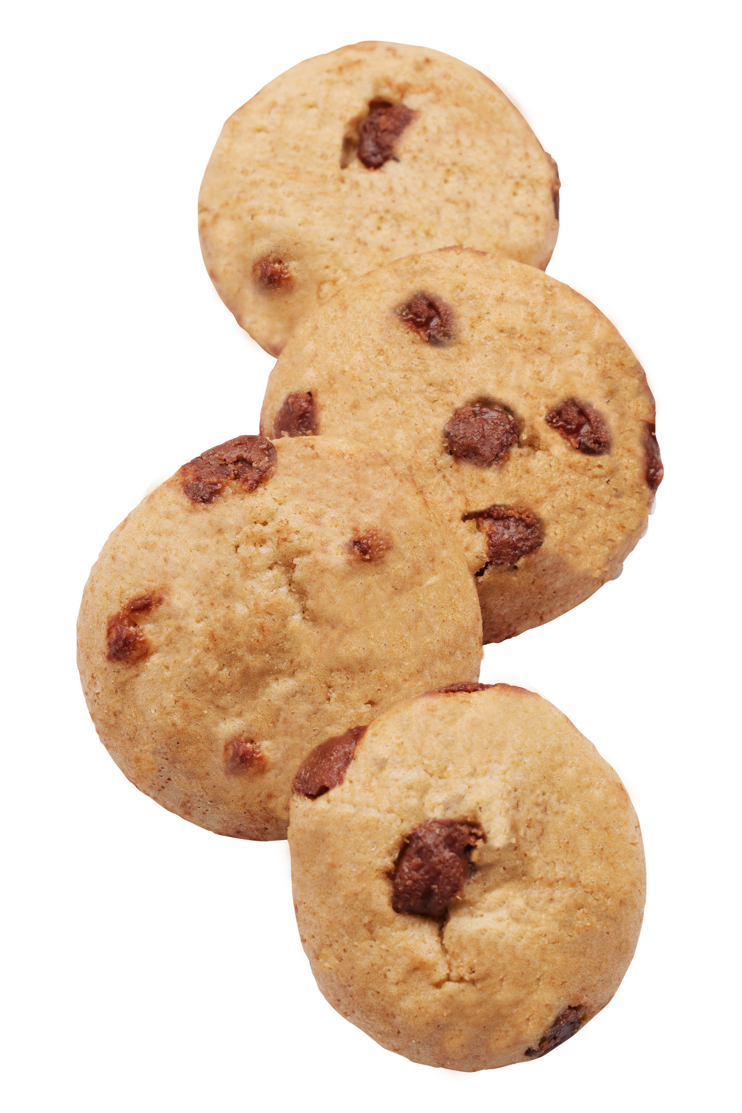 CHAMPS Chocolate Chip Cookies